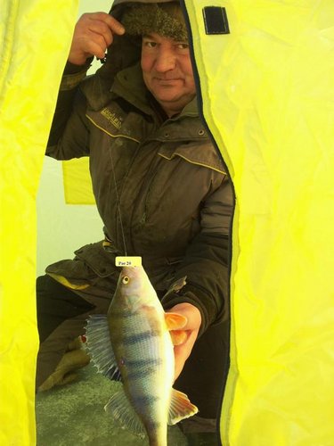 2012-02-04 13.55.44_resized1.JPG