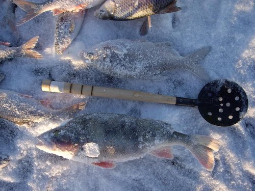 подарок от Водяного