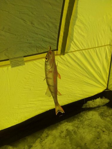 2012-02-11 13.55.54.jpg