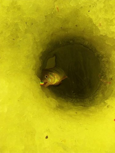 2012-02-12 09.55.03.jpg