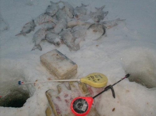 008.JPG (53.14 КБ) 3695 просмотров последняя попытка,и вот оно счастье