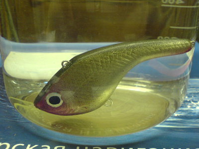 Изображение 268.jpg