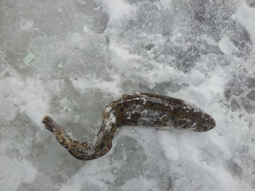 2012-02-25 16.40.19.jpg