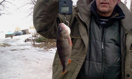 2012-03-16 15.47.46.jpg