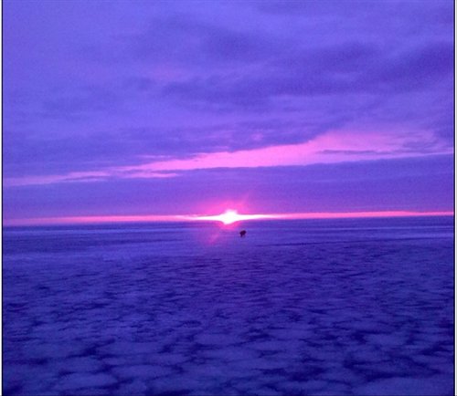 Рассвет и собака, сопровождавшая нас все 5 км от берега