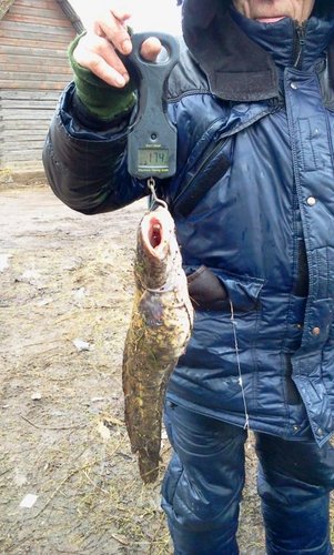 2012-03-24 15.54.34.jpg