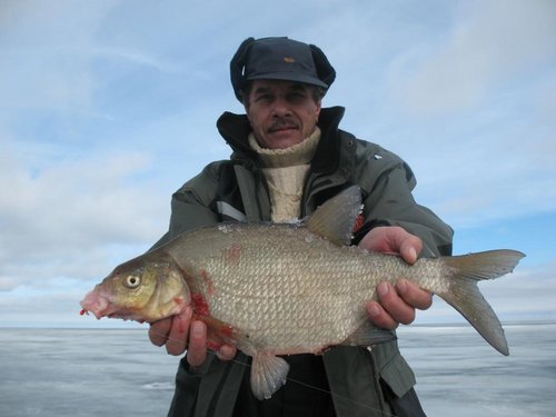 зима 2012 (4).jpg