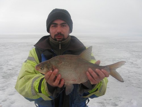 новичёёк и лещёёк....