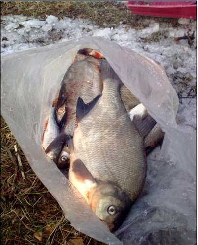 Самый солидный на 2,3кг