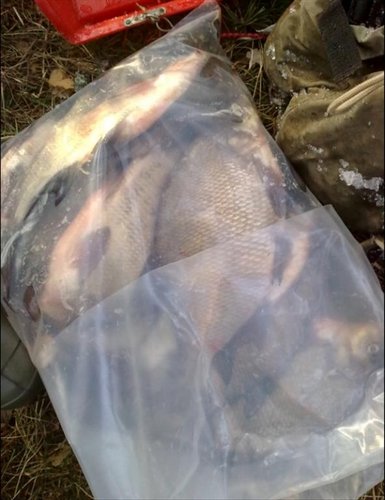 Улов Серёги