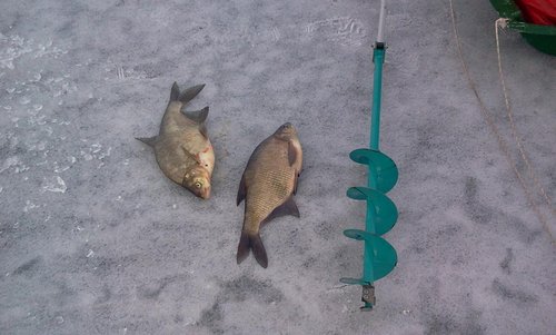 2012-03-31 16.14.22.jpg