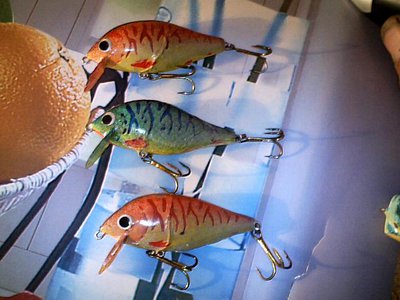 тигеры плавающие 13 гр.