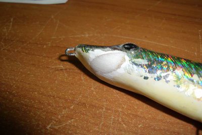 Resize of DSCF1596.JPG