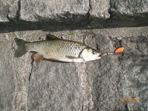 эту вертушку я уже как-то показывал... лепесток самодельный а остаток -  слепила из того что было. есть еще парочка дубликатов (давил через пуансон), а этот уже (наконец-то) утопил!