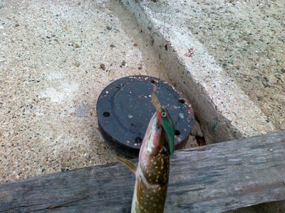 Изображение 173.jpg