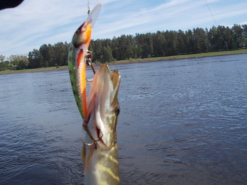 рыбалка 017.jpg