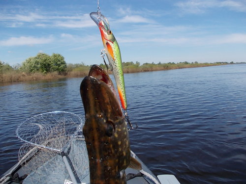 рыбалка 012.jpg