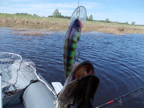 рыбалка 021.jpg