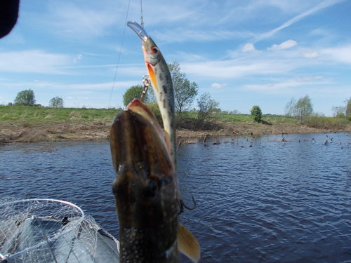 рыбалка 030.jpg