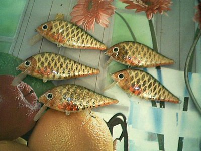 Изображение 001.jpg