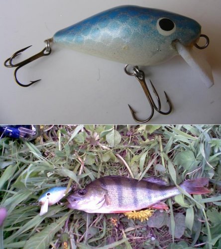 Начало сезона 12.jpg