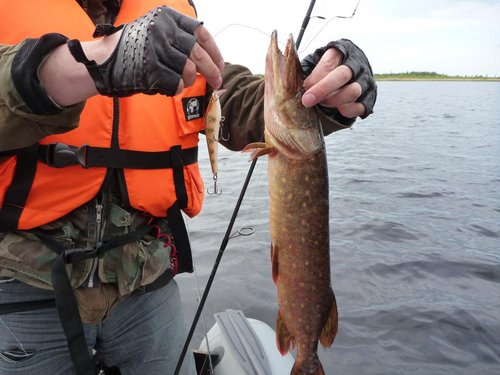 Этот воб всегда работает на Нарвском водохронилище.