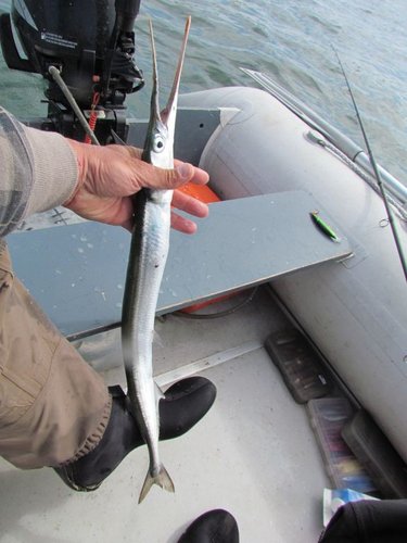 IMG_3.JPG (61.45 КБ) 1892 просмотра IMG_3.JPG