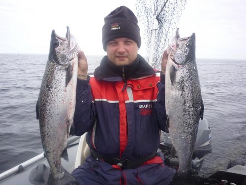 Удар,визг фрикциона,посечка,крик "есть!!!",еще удар ,визг фрикциона,подсечка,крик "ещё один"...<br />Сладкая парочка собрала в кучу оставшиеся спиннинги,сначала был подсачен один с гирляндой из четырех  воблеров на голове,был вынут, воблеры отрезаны от лесок и оставлены в подсаке,второй подсачивался подсаком в котором они так и остались.Потом был секас по выпутыванию лосося и воблеров и подсака.Но результат того стоил...