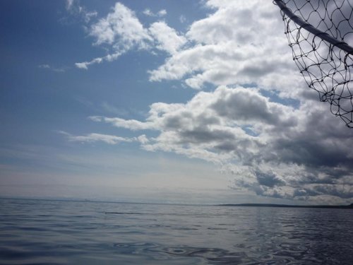 Следующий день.