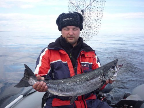 Фиолетовые расцветки работали то лучше то хуже все три дня.Жертва экспериментов с фиолетовой расцветкой.