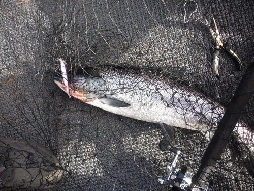 Один из многих на фиолетовые фантазии.