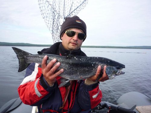 А этот,судя по порванной и сросшейся верхней губе уже был на крючке,но перед оранжево-желтой самоделкой не устоял,что меня очень радует.