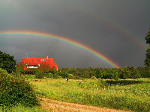PICT8165.JPG