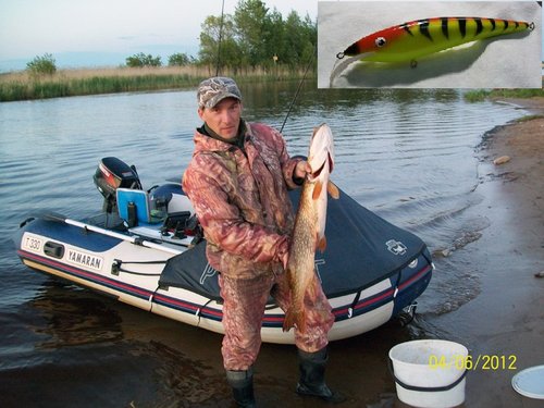 ладога щука 5 кг