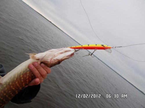 реплика оригинала(150мм) собирает щучек с глубины до 3,5м<br />1,5кг