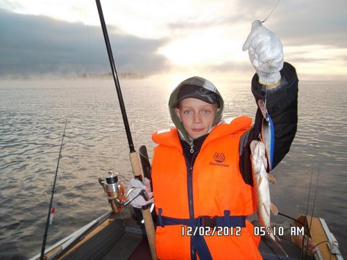 "Синюю птицу" жрут все, от мала до велика :-)))