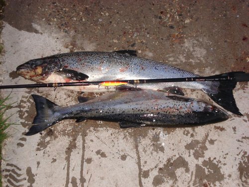 06.06.12 штиль 2.0 жетон.jpg