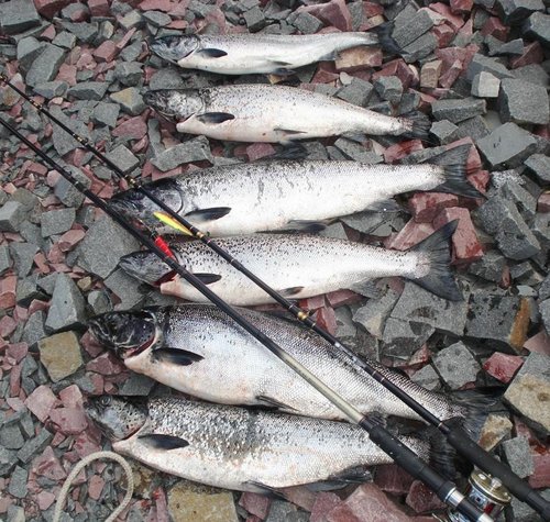 07.06.12 штиль 5850.jpg