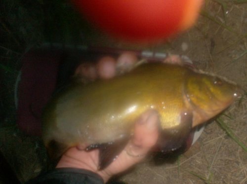 029.JPG (52.34 КБ) 2196 просмотров 029.JPG