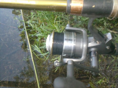 039.JPG (79.46 КБ) 2196 просмотров 039.JPG