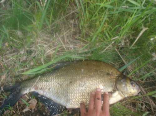 033.JPG (87.81 КБ) 2196 просмотров 033.JPG