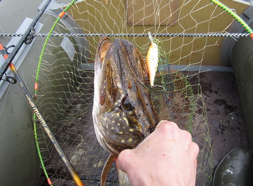 Снова пенопластовый...