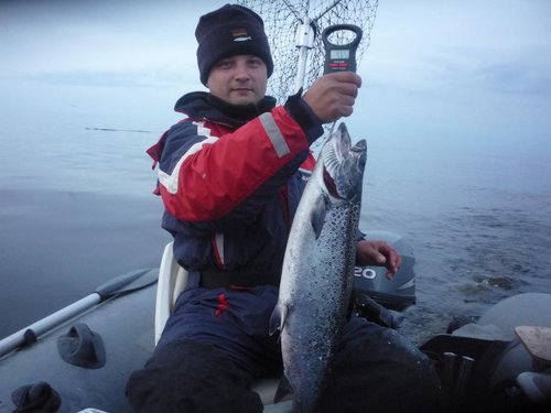 После двух малышей,влетел взрослый рып..