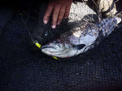 Работают комбинации желтого с оранжевым..