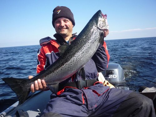 Радости нет предела