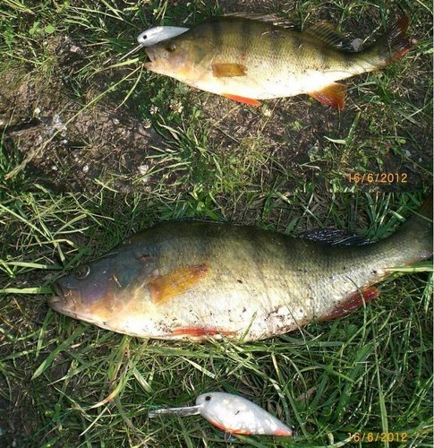 12.JPG (175.18 КБ) 1185 просмотров бальса, 60мм, с погремушкой, вес-надцать грамм (утопил, точнее не знаю). цвет-белый перломутр, а на верху чуток блесток.