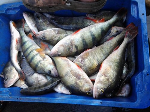 2012-07-07 07.37.44.jpg