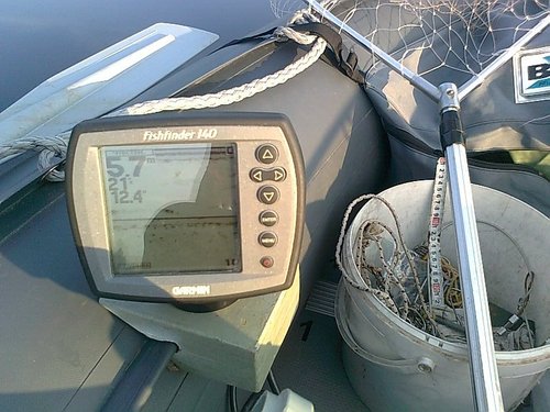 сомы 001.jpg