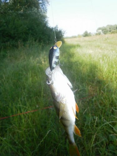 тут из стеклотекстолитовой лопаткой