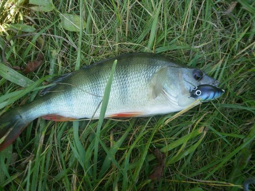 а тут пластик